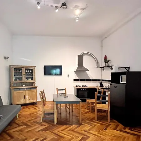 דירה Neo Unu - Doua Dormitoare - Historical Building - Superb טימישוארה