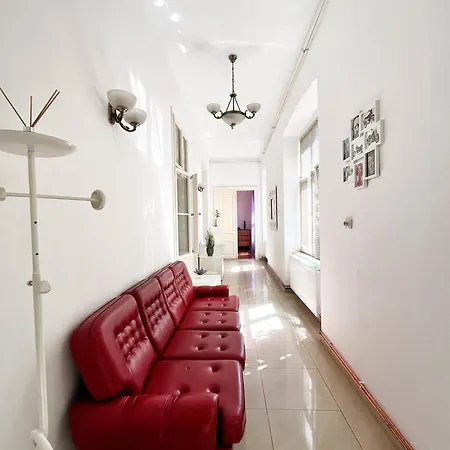 Neo Unu - Doua Dormitoare - Historical Building - Superb Apartment Timisoara