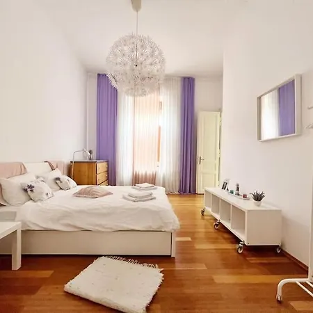 Neo Unu - Doua Dormitoare - Historical Building - Superb Timisoara